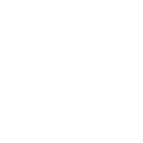 Disadvantaged Business Enterprise logo white