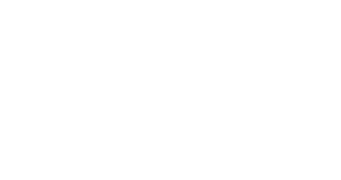 Women's Business Entity white logo